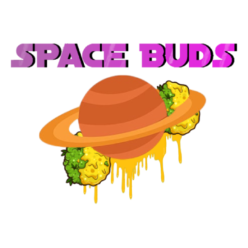 Space Buds